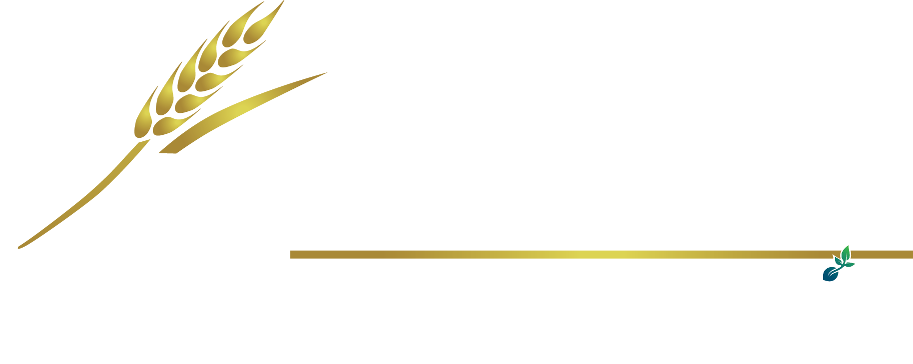 20/20 Seed Labs, Inc.
