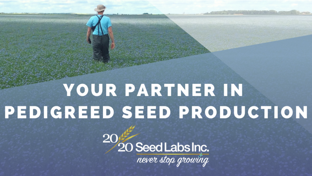 Home - 2020 Seed Labs