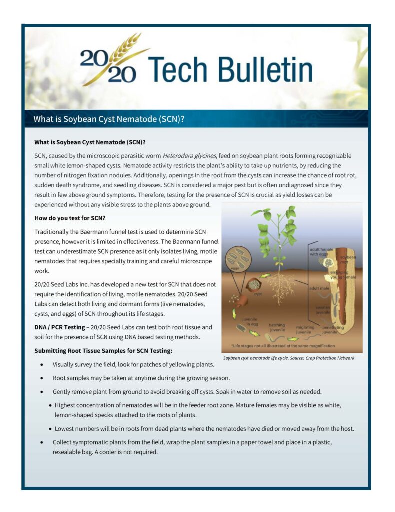 Tech Bulletin - 2020 Seed Labs