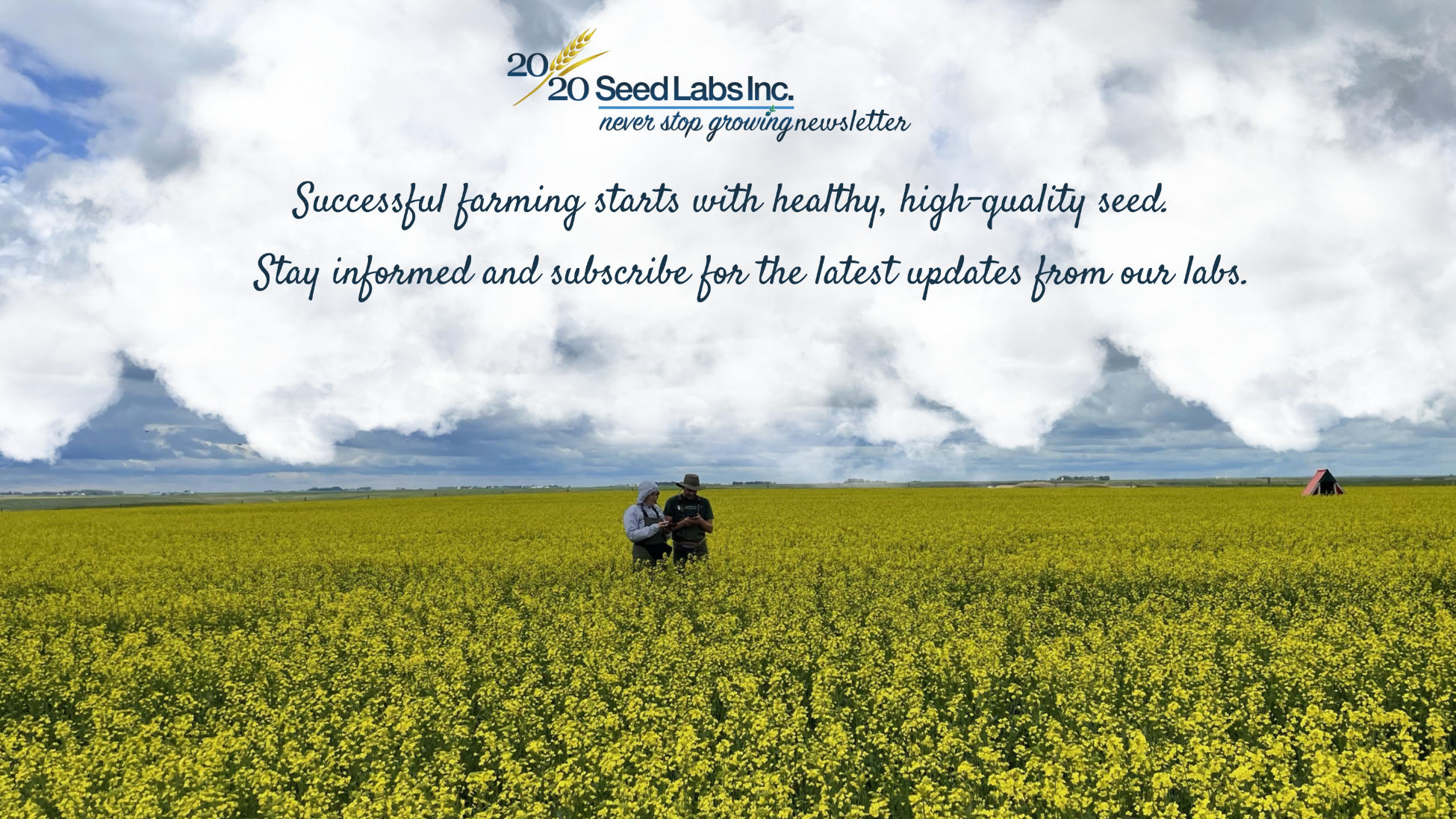 2020 Seed Labs Inc Newsletter