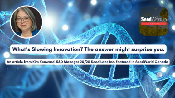 What’s Slowing Innovation The Answer Might Surprise You-featured-v2