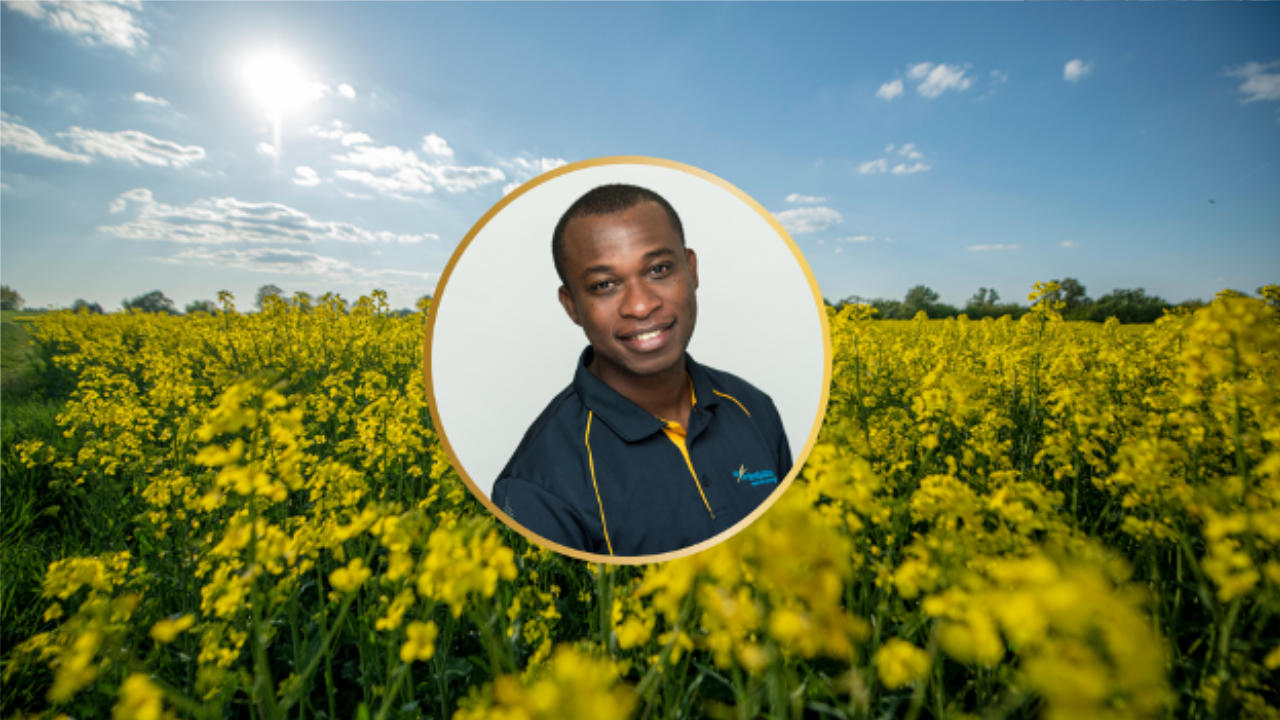 staff-spotlight-moses-palmer Staff Spotlight: Moses Palmer Takes on New Role as Business Development Manager