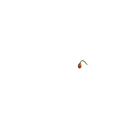 2020 Seed Lab Alive Logo