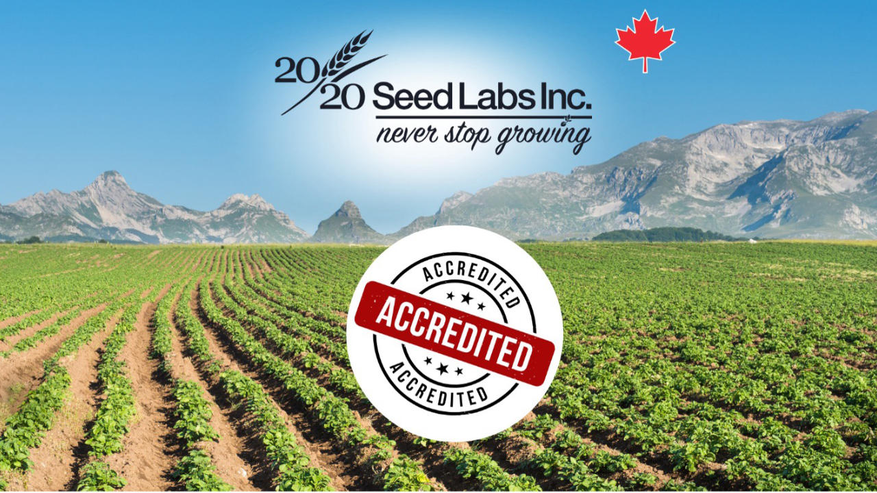 cfia-accredidation-potato-testing-web cfia-accredidation-potato-testing-web