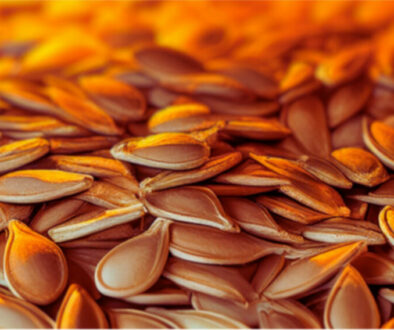 jack-o-lantern-01 jack-o-lantern-01