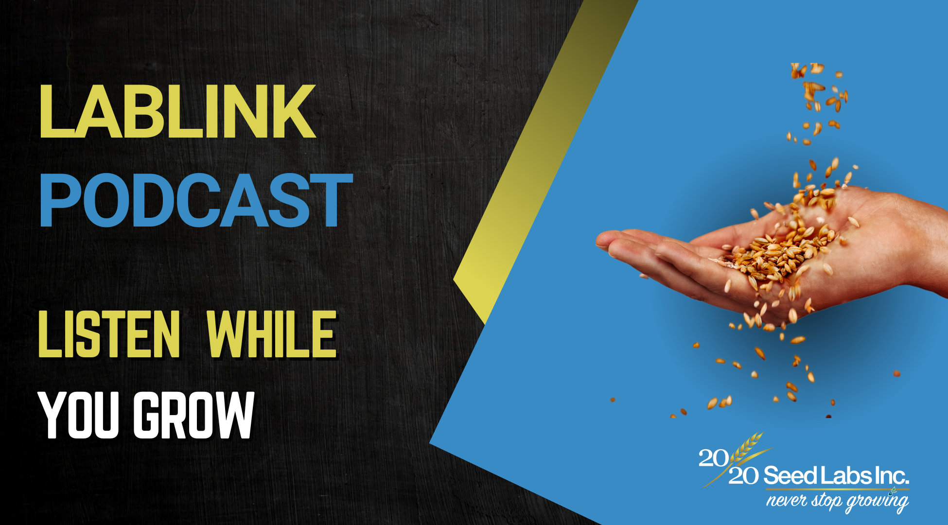 Copy of lablink (1950 x 1080 px) - 2