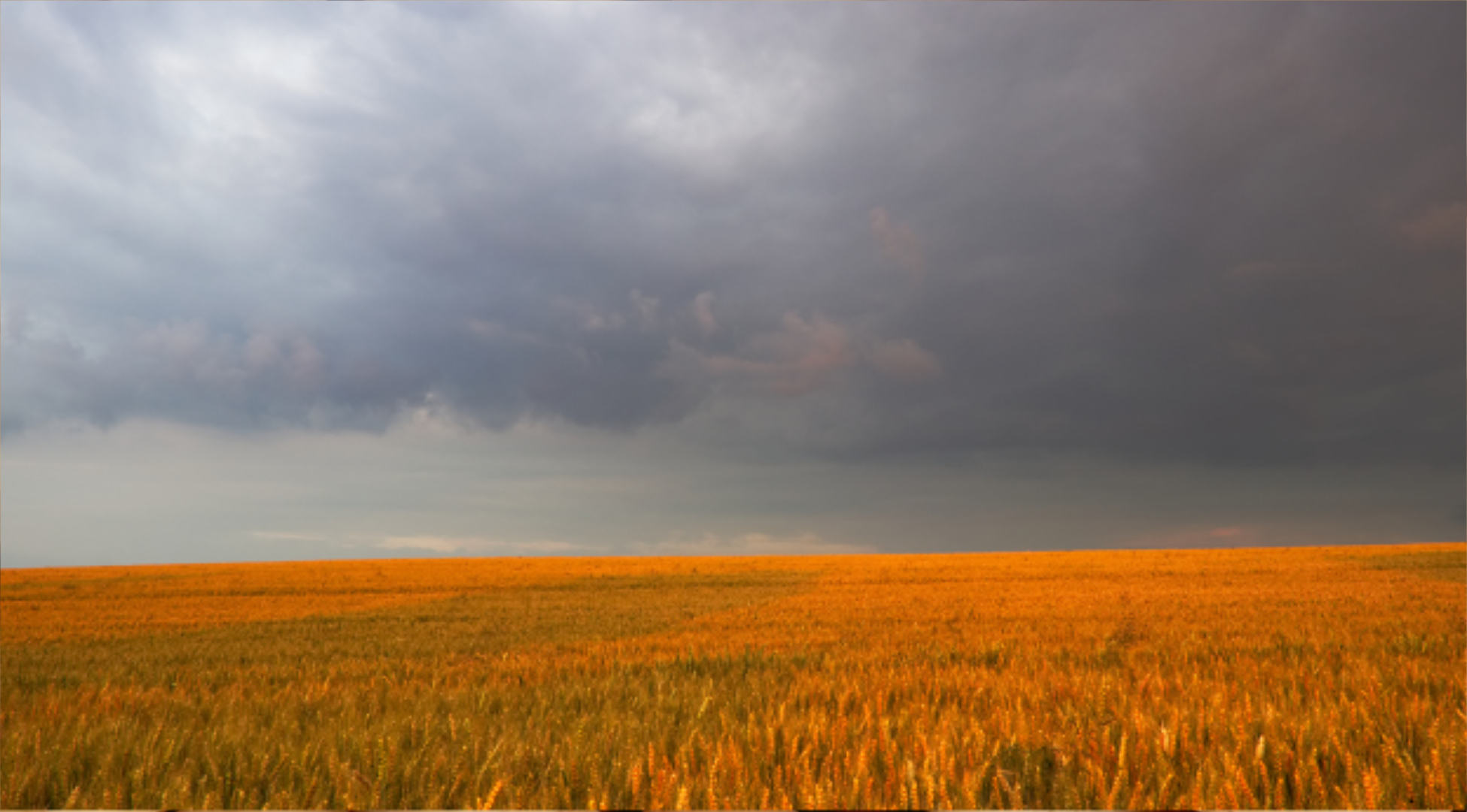 How Can We Help - Canada’s Plant Breeding Programs