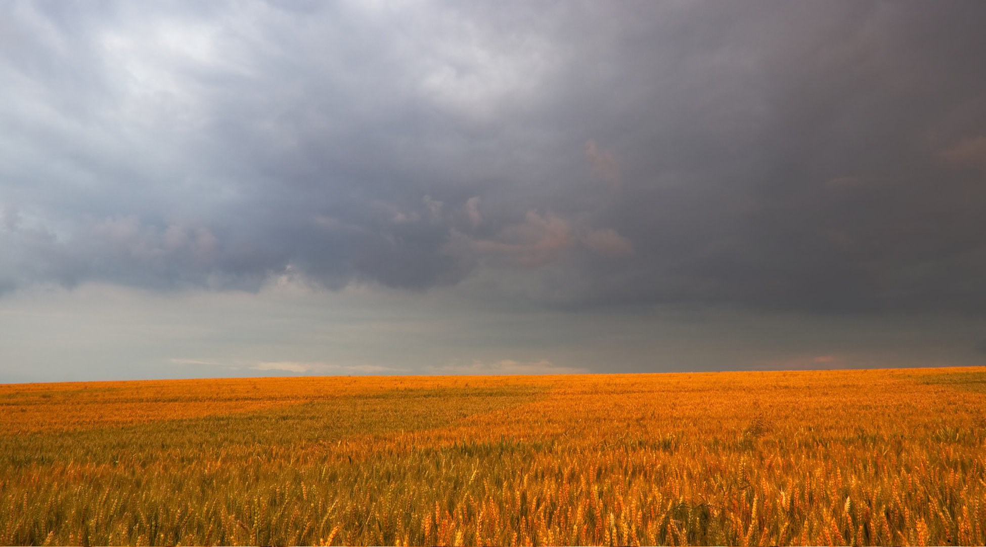 December 2025 Newsletter