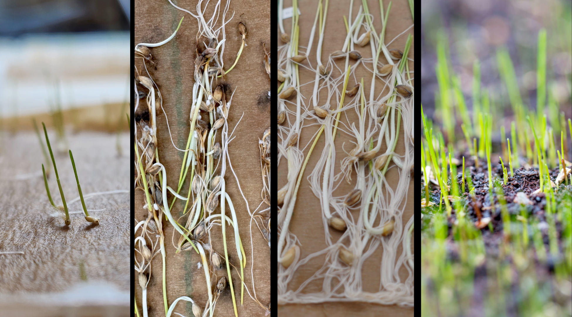 newsletter-march-2026-v2