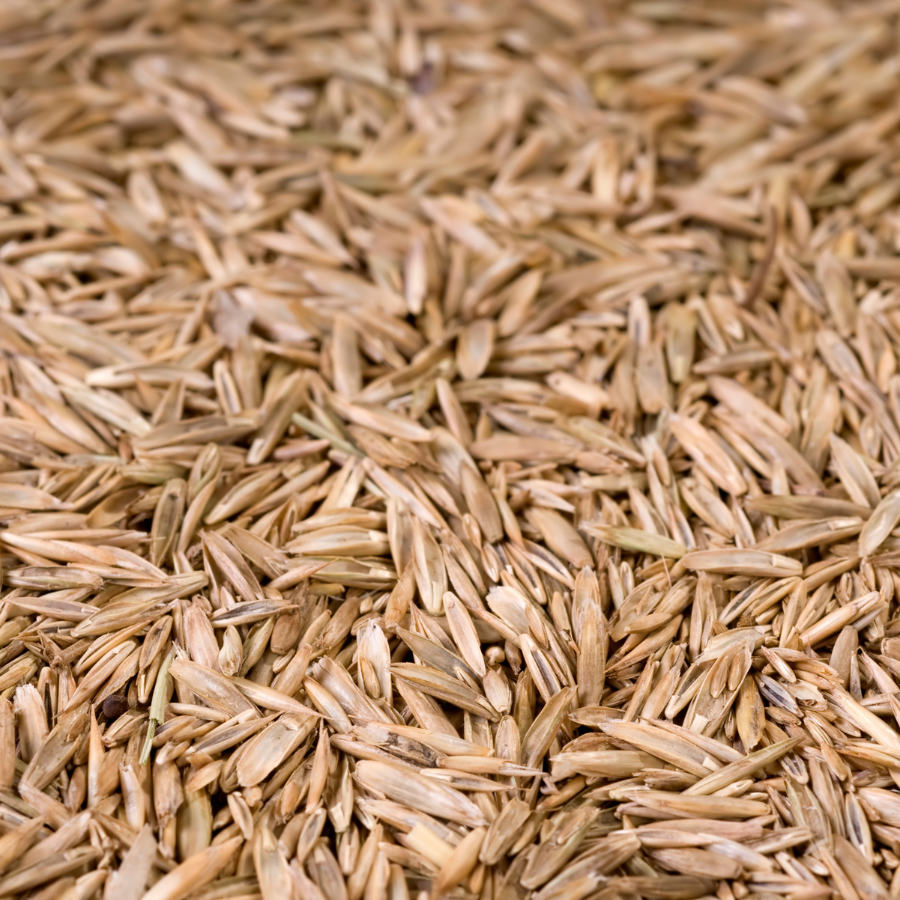 Dockage and Seed Grading of Forage Crops