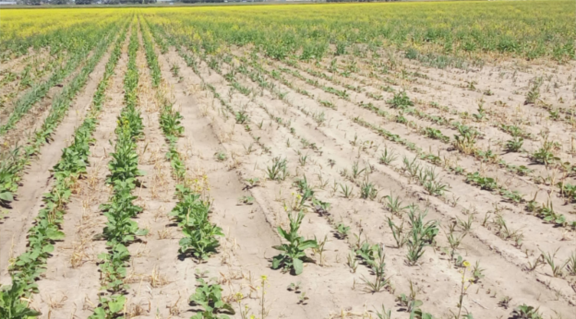 Seeing Resistance Before It Shows Up