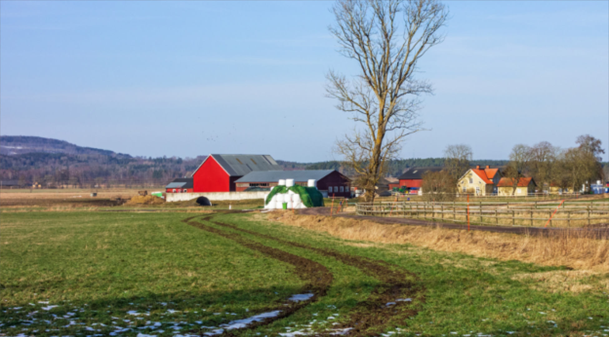 What Do You Need From Your Seed Lab?