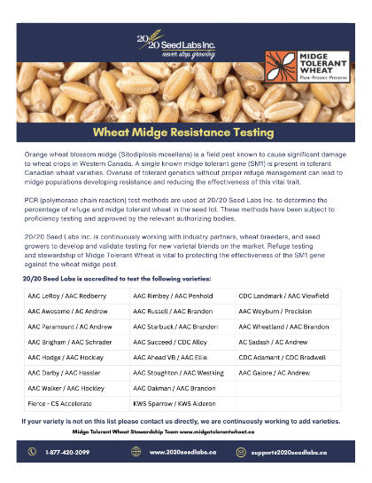 wheat-midge-testing
