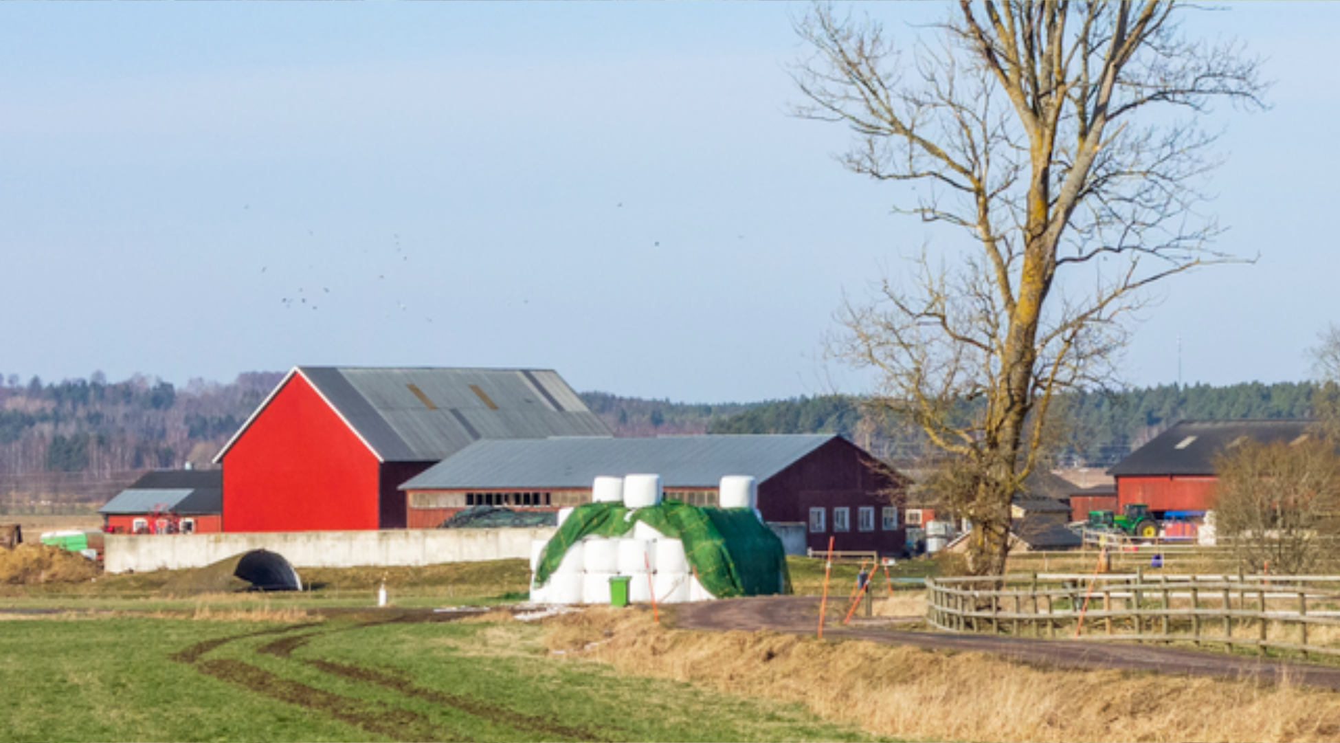 April at 20/20 Seed Labs