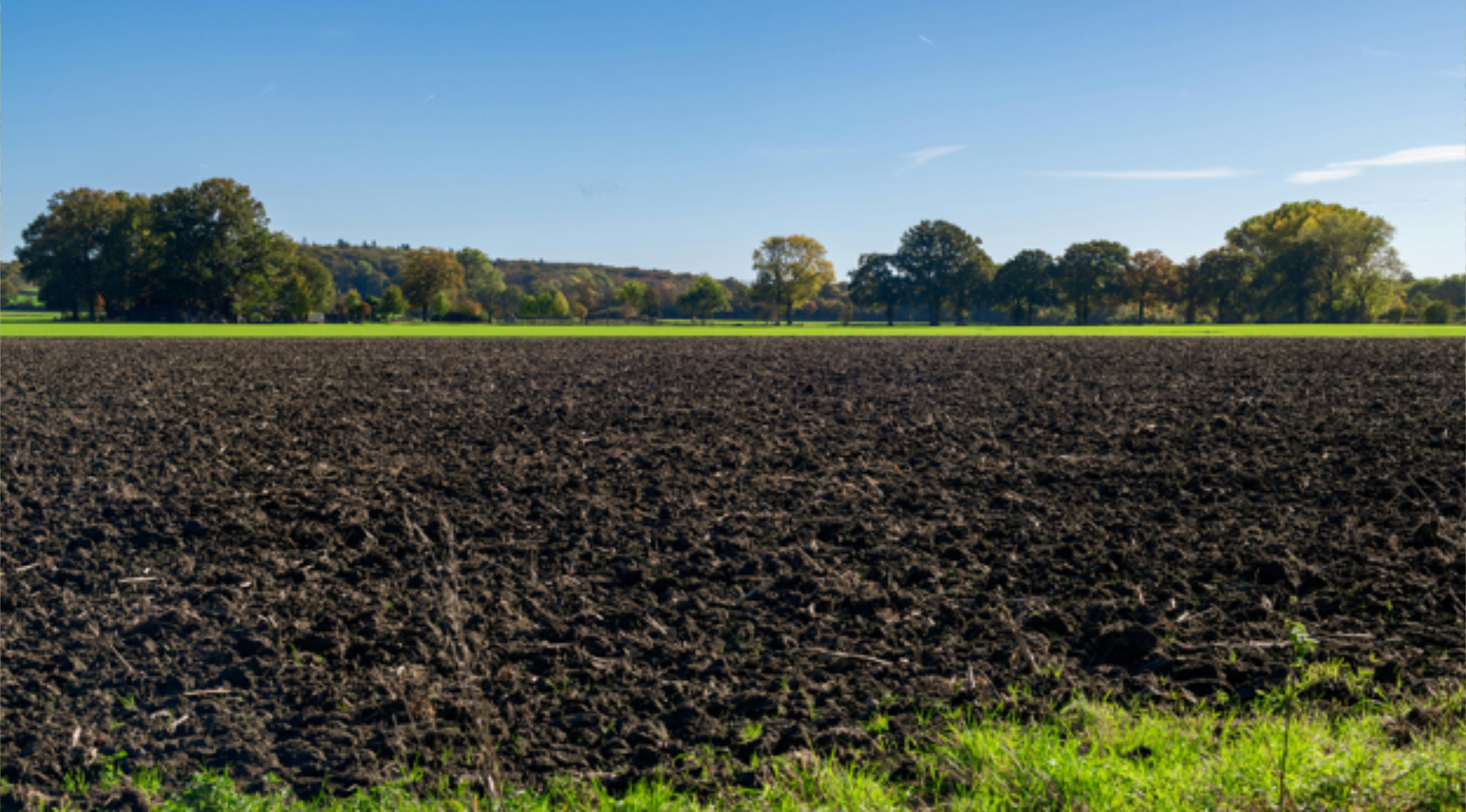 Understanding Soil-Borne Disease Risk Before Symptoms Appear