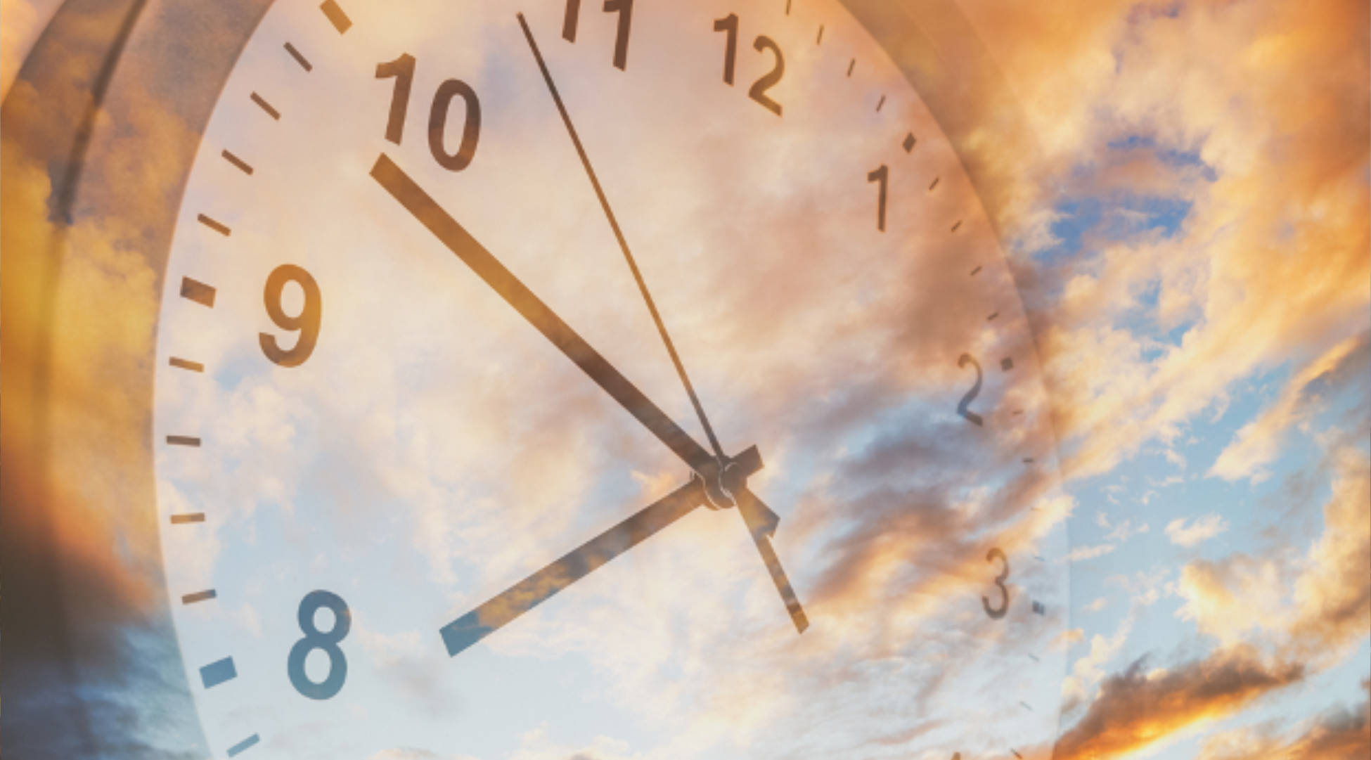 Why Tetrazolium Chloride Vigour (TZV) Testing Matters for Fall-Seeded Cereals Such as Hybrid Fall Rye, Winter Triticale, Winter Wheat and Winter Barley.