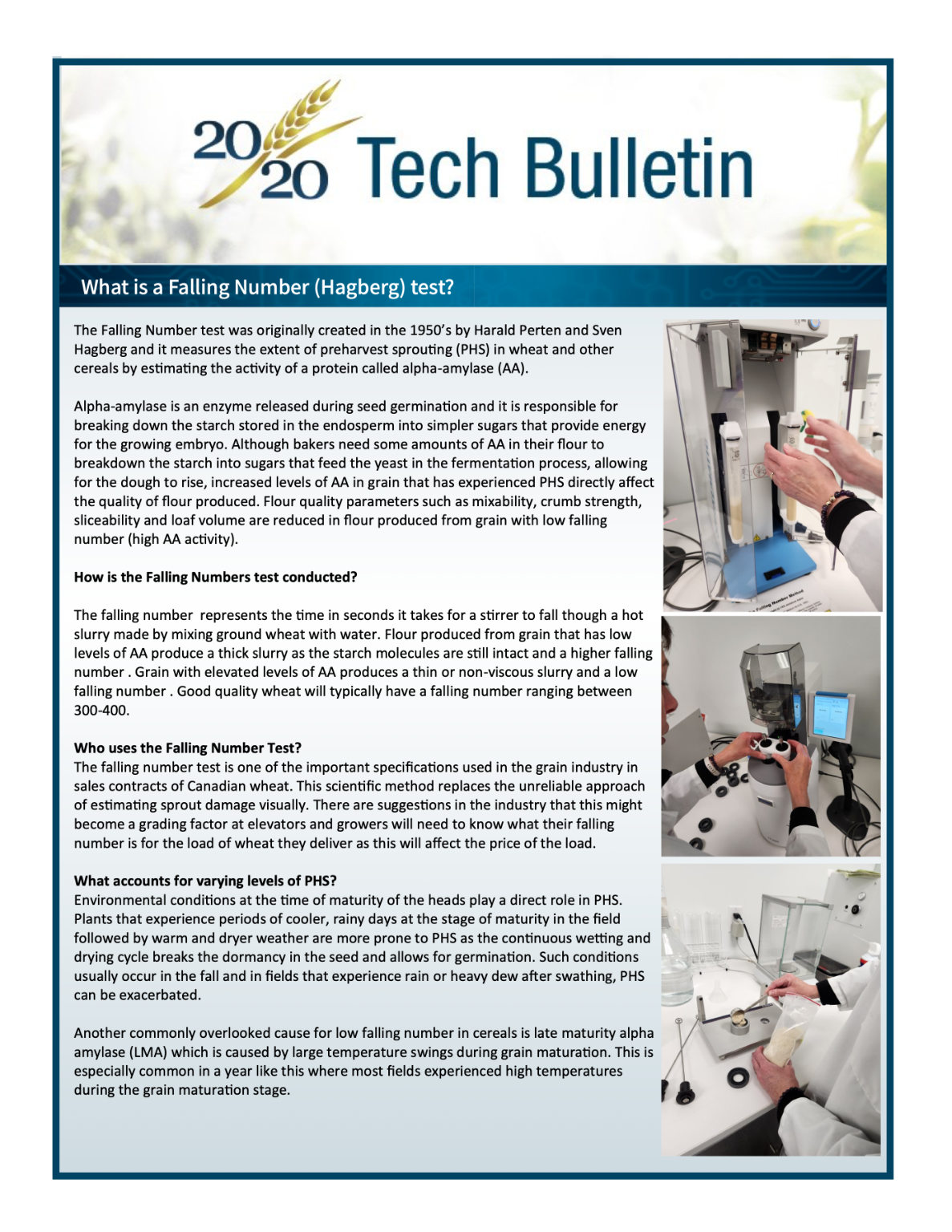 What is a Falling Number (Hagberg) test?