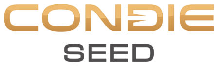 Condie Seed