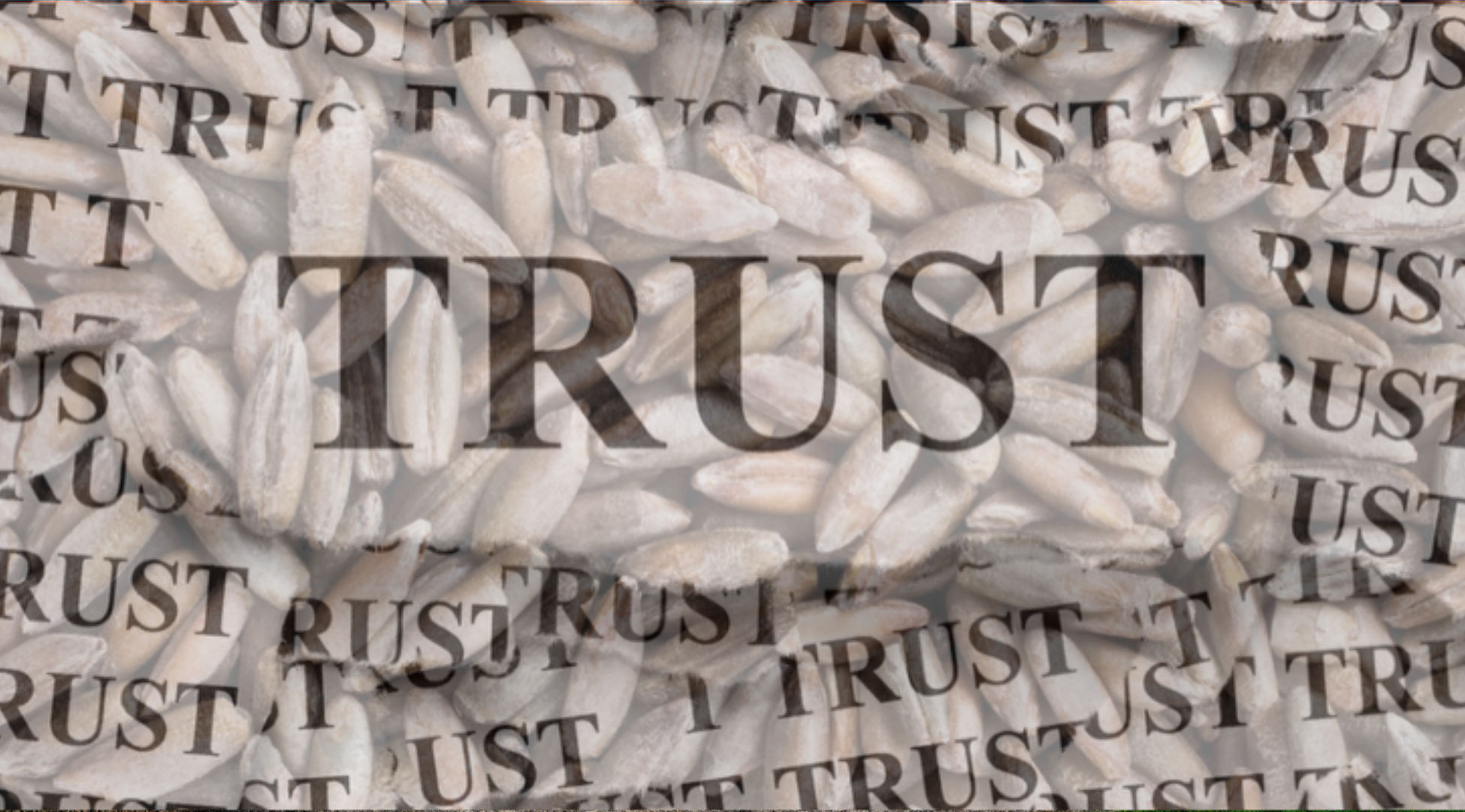 The Future of Seed Testing Starts With Trust