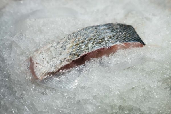 Sea Bass - Image 2