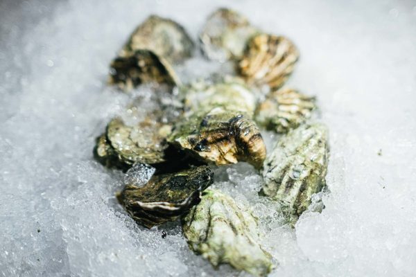 Kumamotto Oysters - Image 2