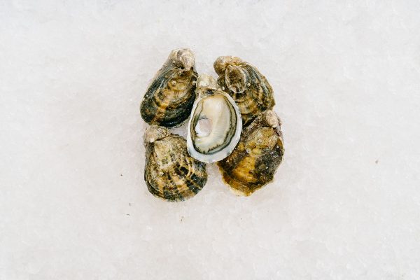 Fat Bastard Oysters - Image 2