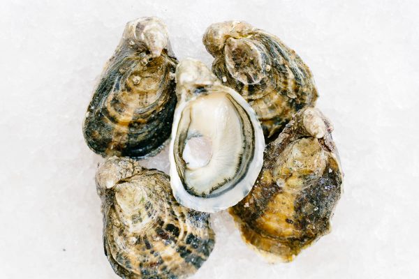 Fat Bastard Oysters