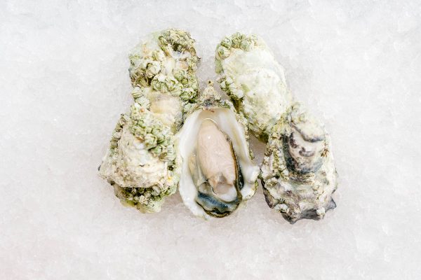 Fanny Bay Oysters