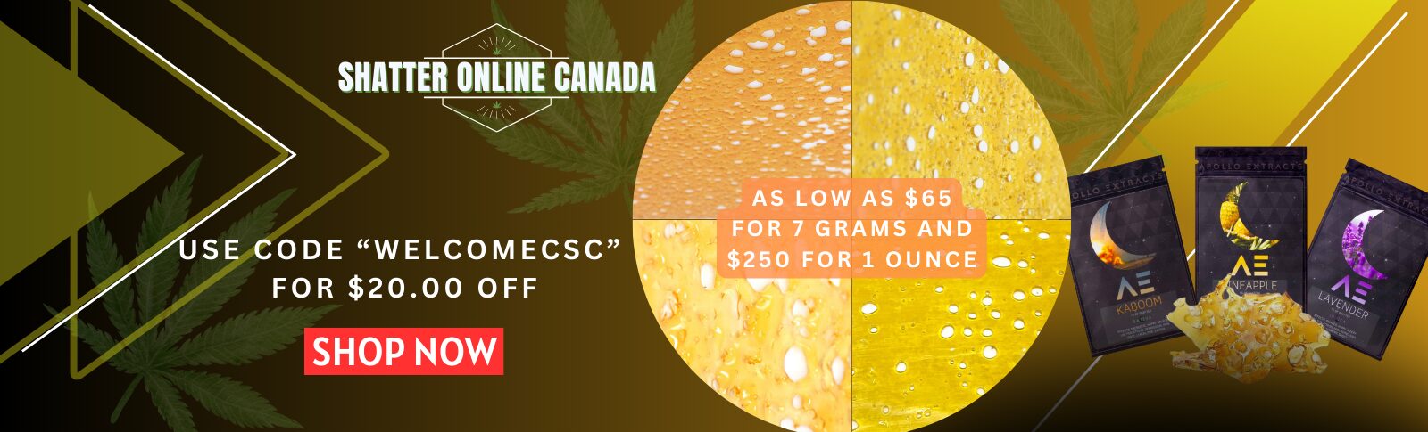 Shatter Online Canada