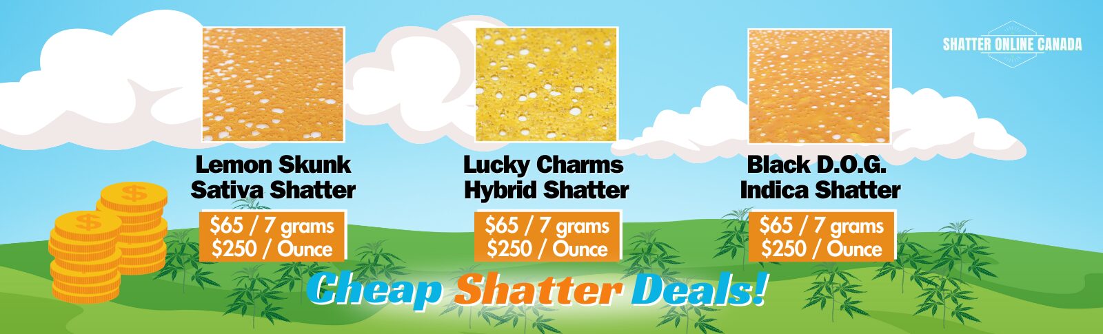 Cheap Shatter Deals Canada