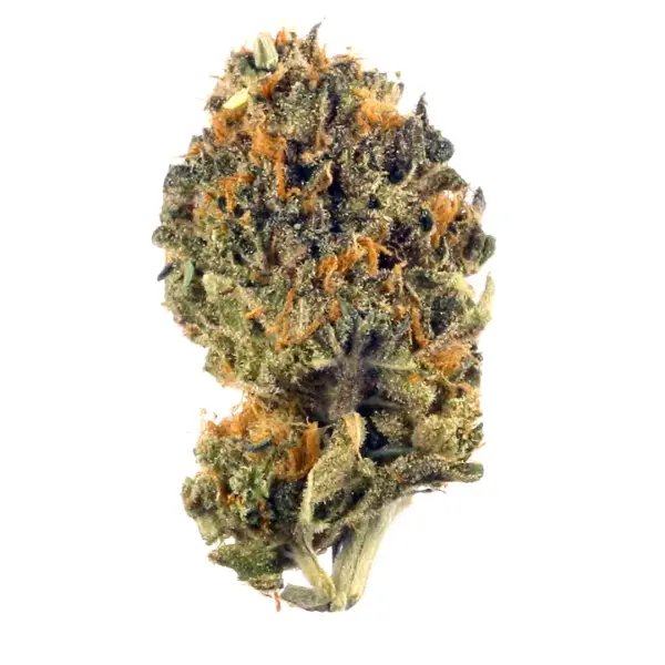 An image of a Koolaid marijuana bud on a white background