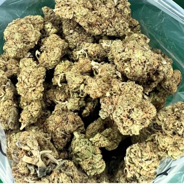 An image of buds in a bag