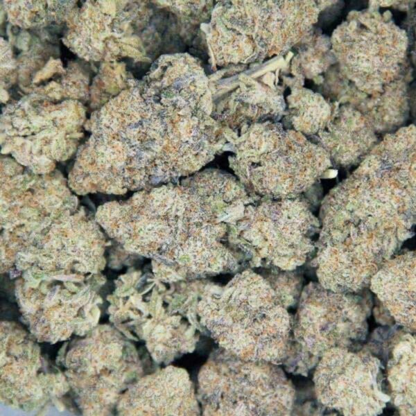 An image of burnt cookies buds in a bag close up