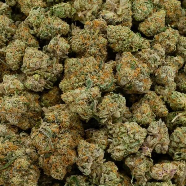 An image of komodo dragon strain buds in a bag