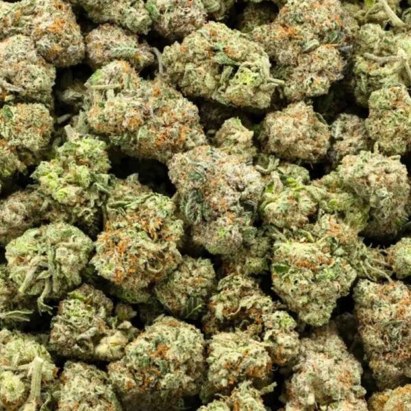 A bag photo of buds