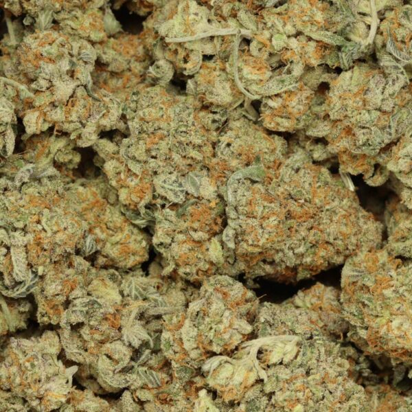 A bag of california dream buds