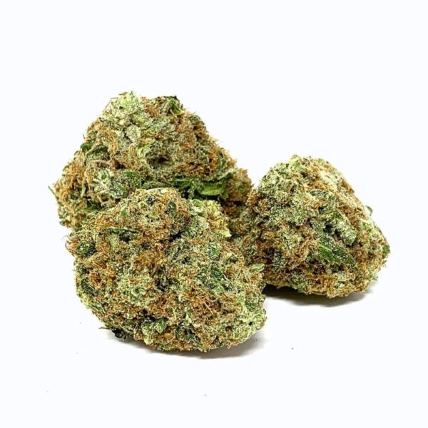 Photo of 3 buds with white bakground