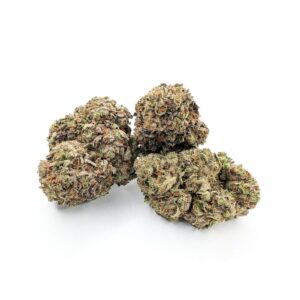 Hindu Kush buds with white background