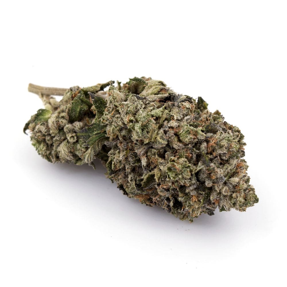 $422 Half Pound – Lindsay OG Indica AAA