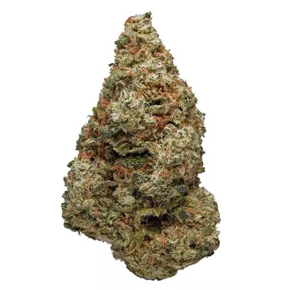 Silver Kush Sativa AAA