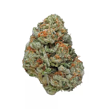 Purple Alien OG Indica AAA