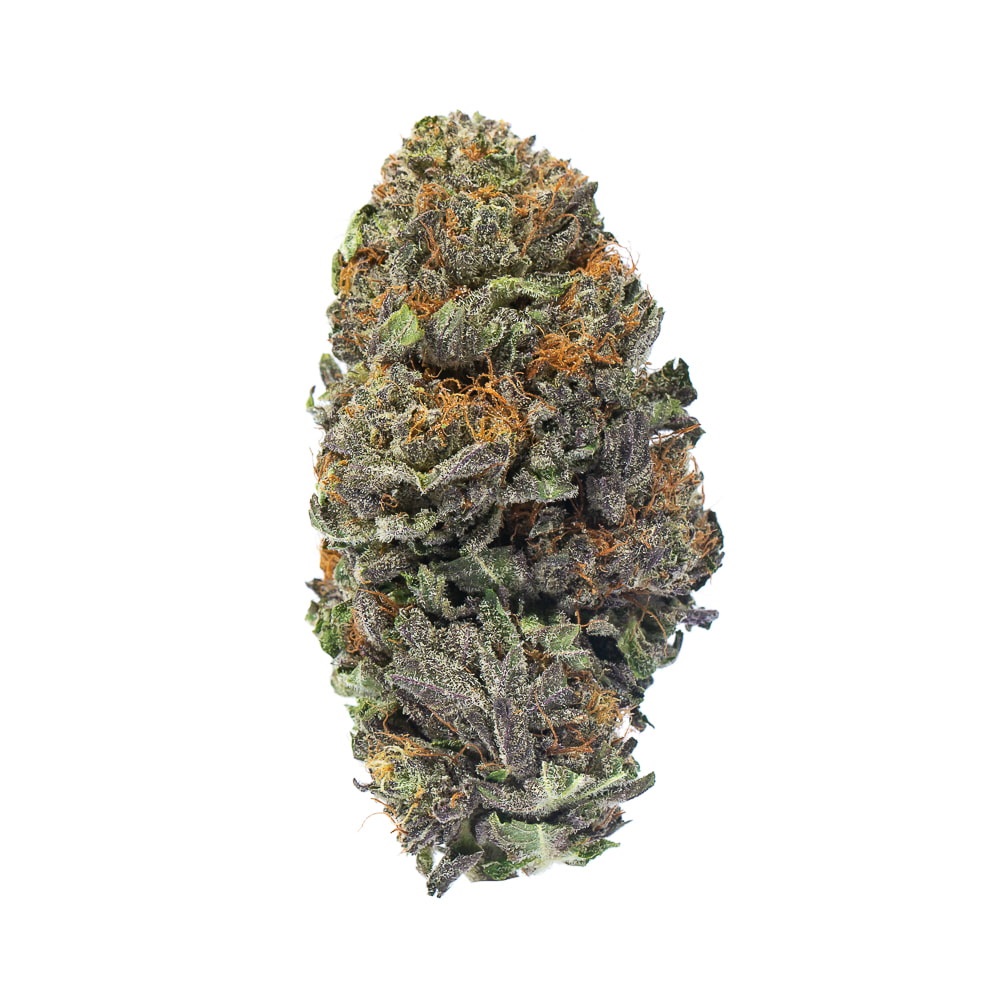 Purple Rhino X Nuken Hybrid AAA