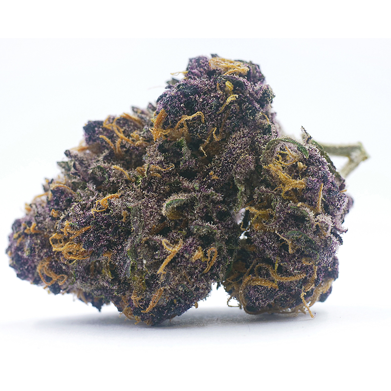 Purple Huckleberry Hybrid AAA