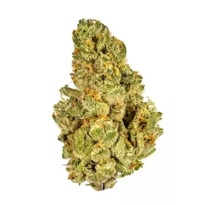 Bentley OG Indica AAA