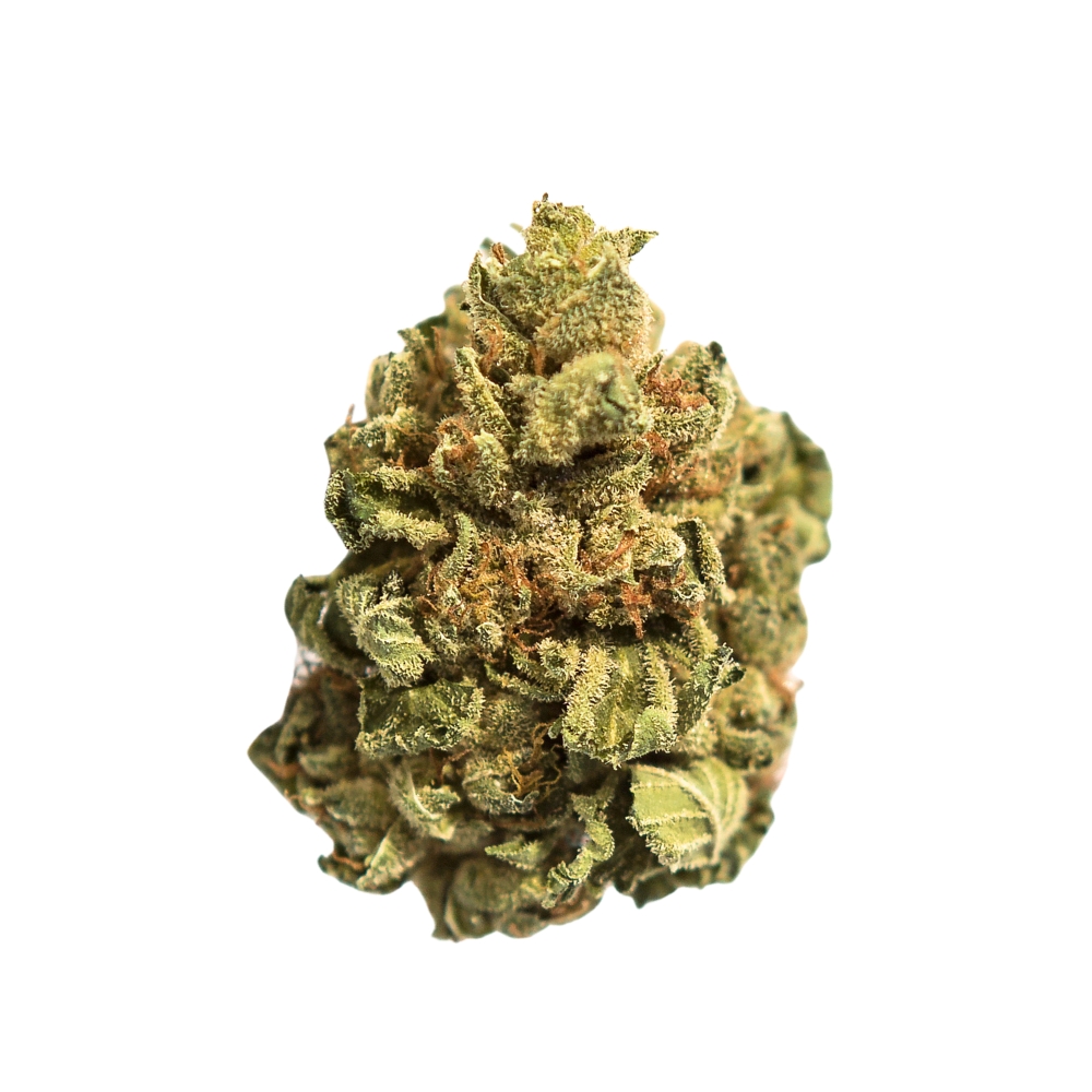 Super Silver Haze Sativa AA