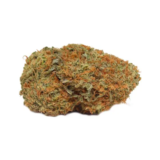 Astro Lato Sativa AAA+