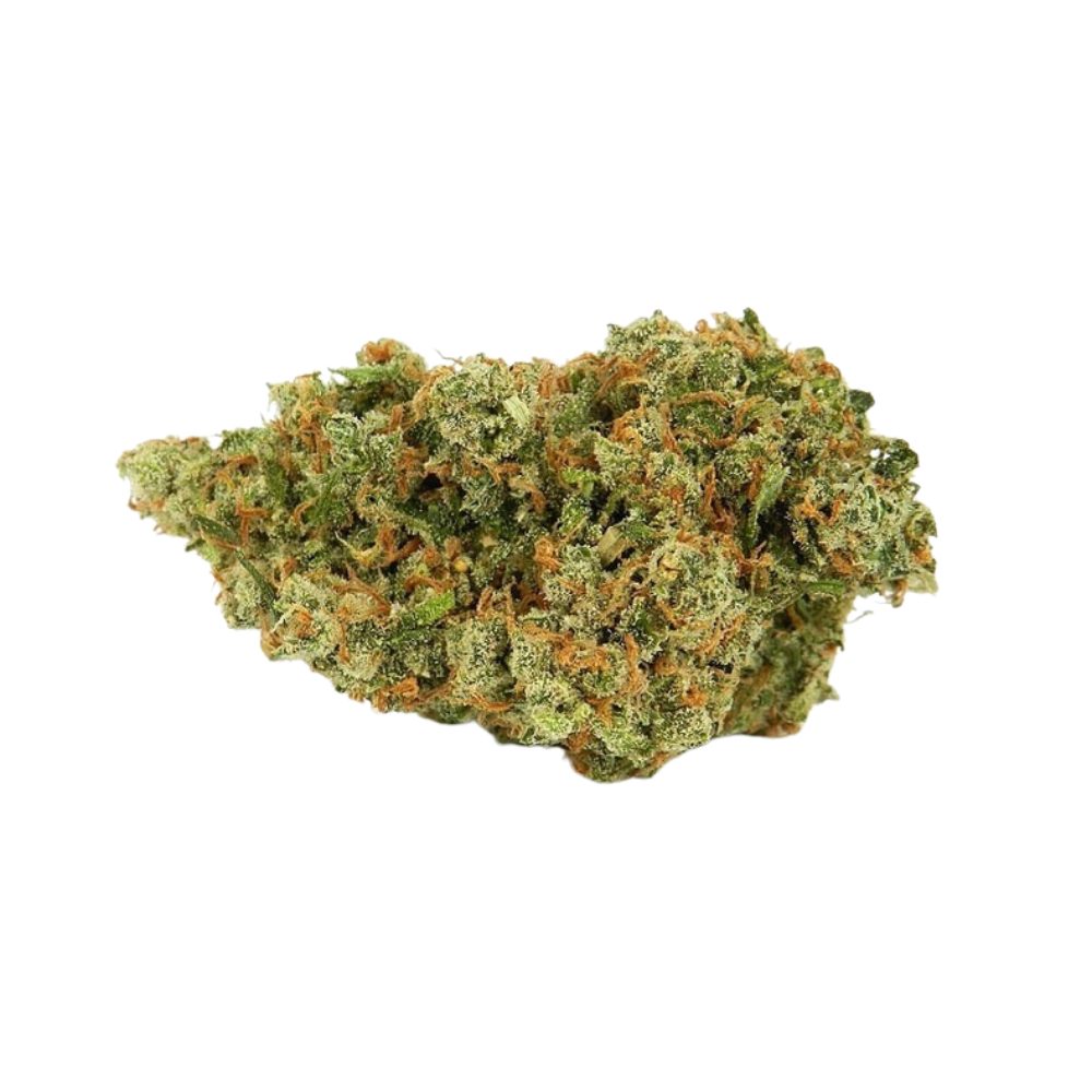 White Lavender Hybrid AAA+