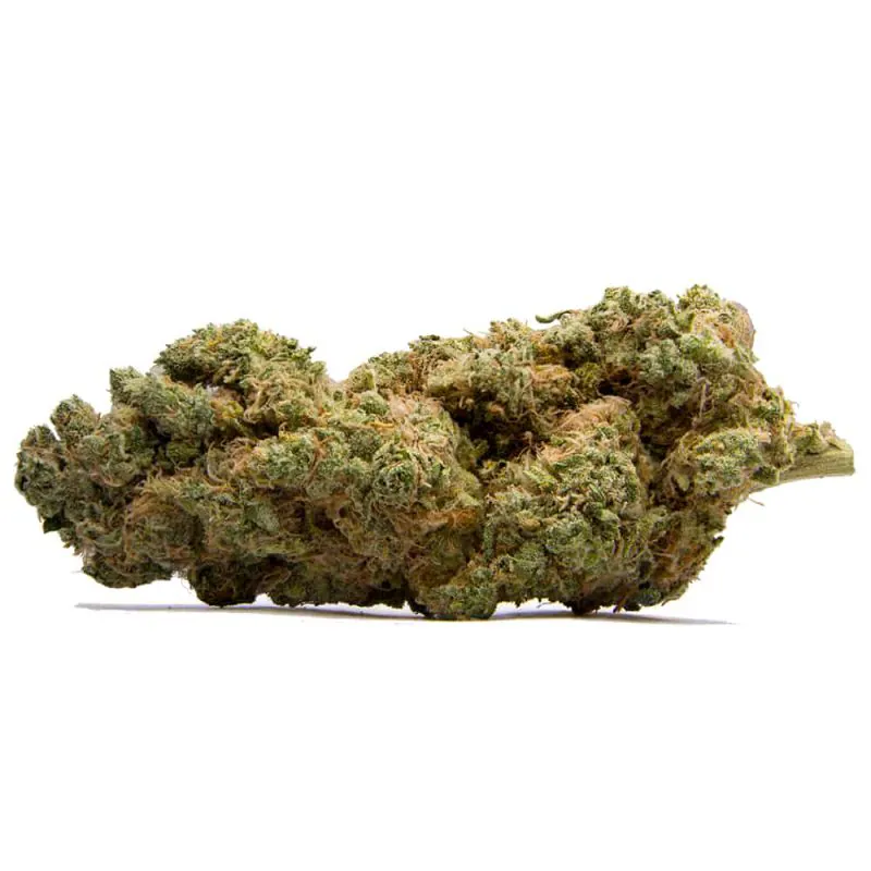 Thin Mint Cookies Hybrid AAAA+