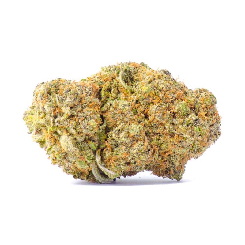 Platinum Girl Scout Cookies Hybrid AAA+