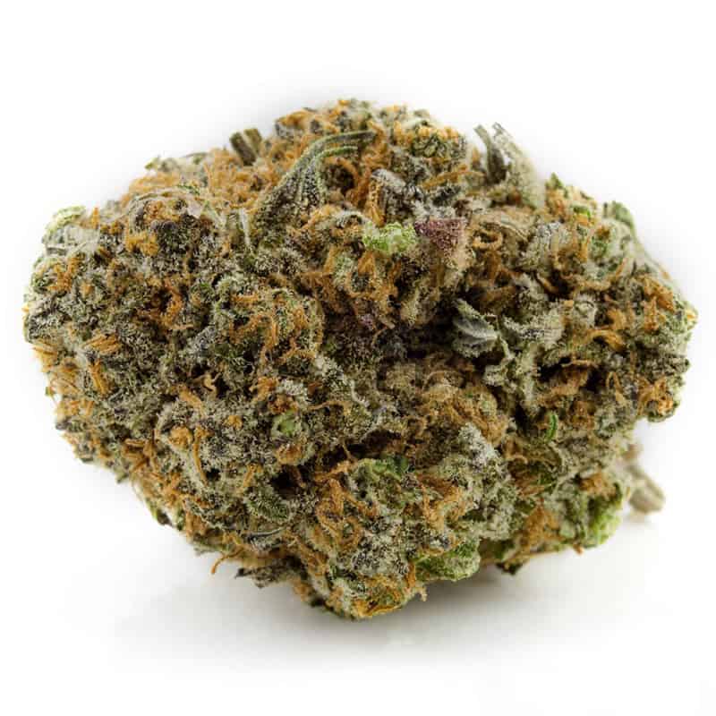 Rainbow Chip - Indica - AAA
